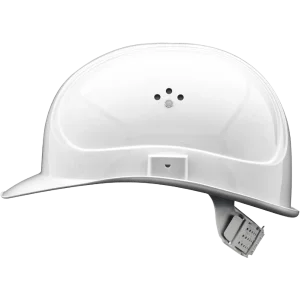 inap master 211 1