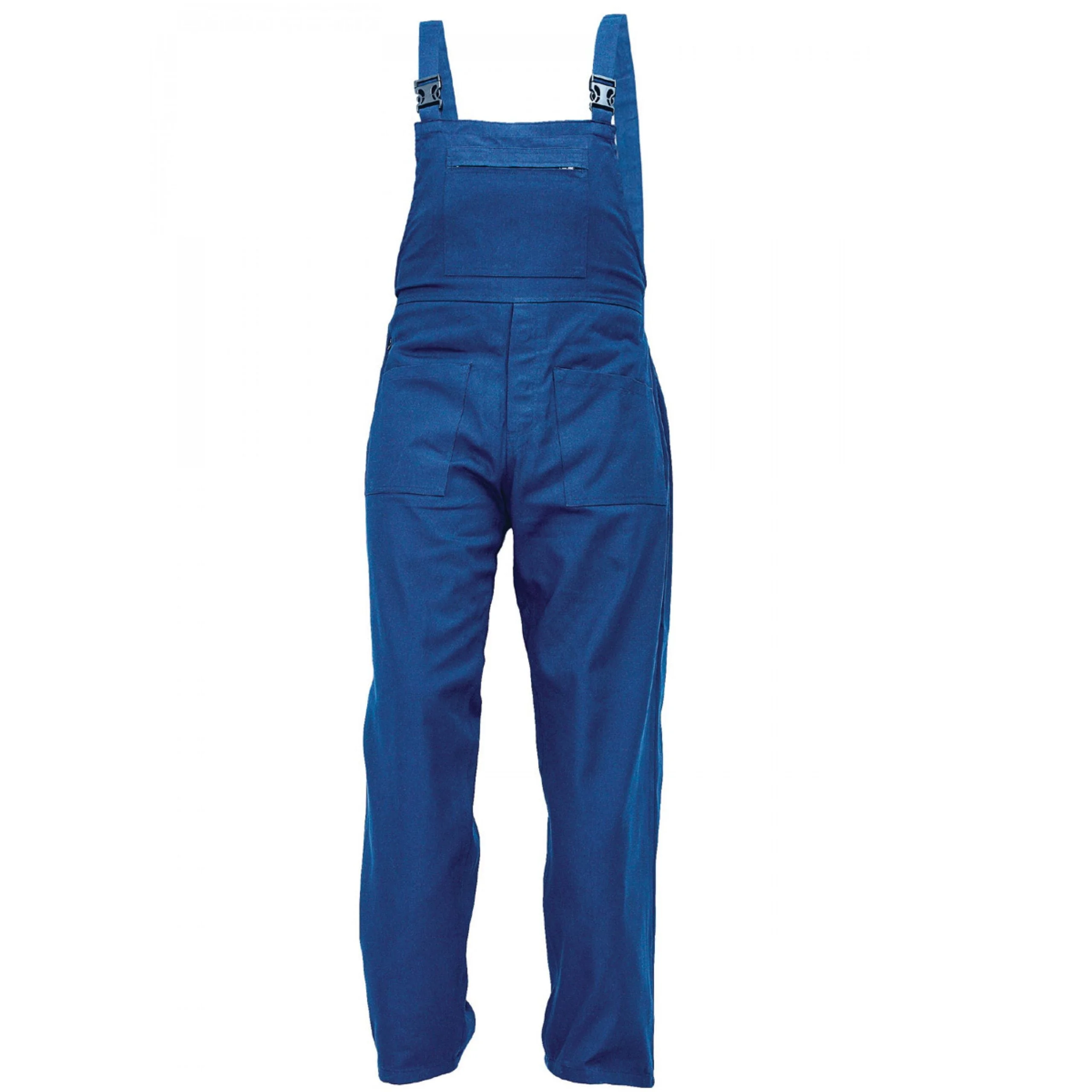 full_ralf-bib-blue